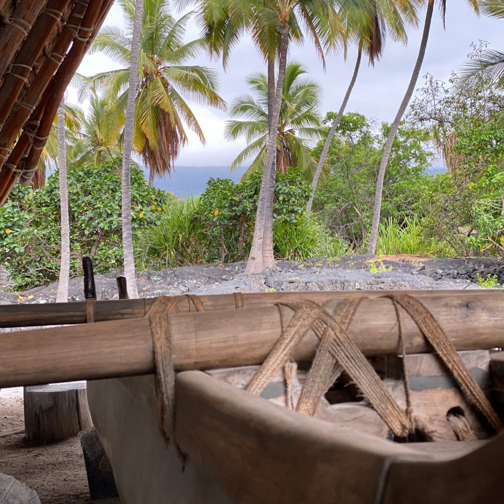 closeup of the lashings holding an alma on an outrigger canoe with palm trees and ocean in background